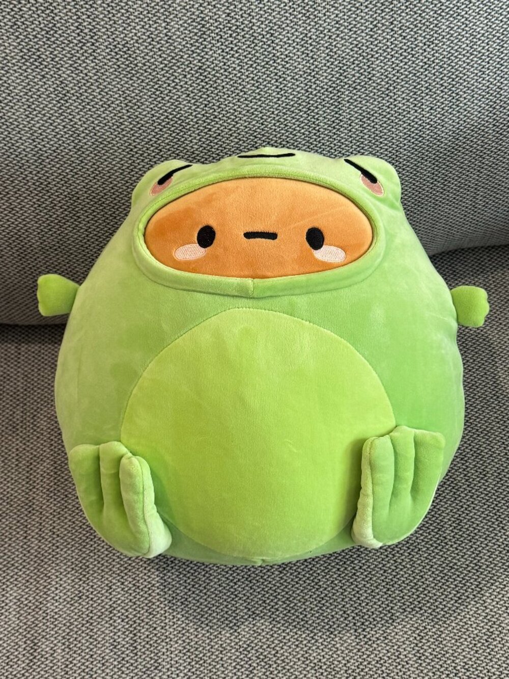 Smoko Frog Tayto